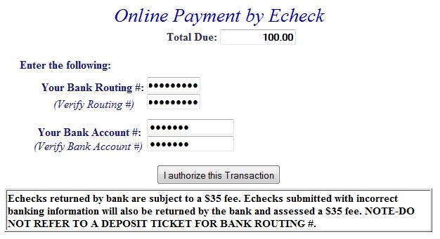 E-check screen example