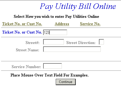 Credit card information example