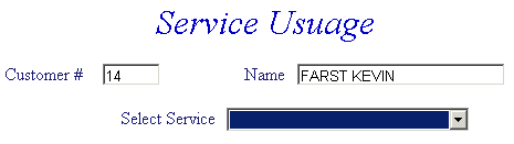 Service usage example